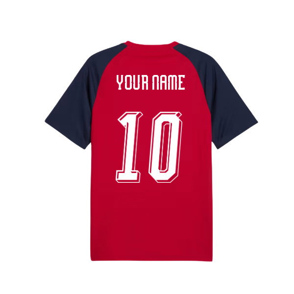 2026-2027 Czech Republic Warm Up Jersey (Dark Cherry) (Your Name)-SoccerKits Hub | Buy Soccer Jerseys Online